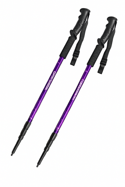 Bâtons de Trekking Réglables en Aluminium